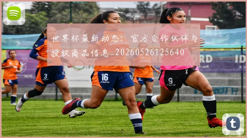 世界杯最新动态:官方合作伙伴与授权商品信息_20260526125640