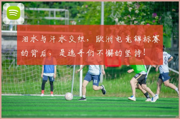 泪水与汗水交织,欧洲电竞锦标赛的背后,是选手们不懈的坚持!