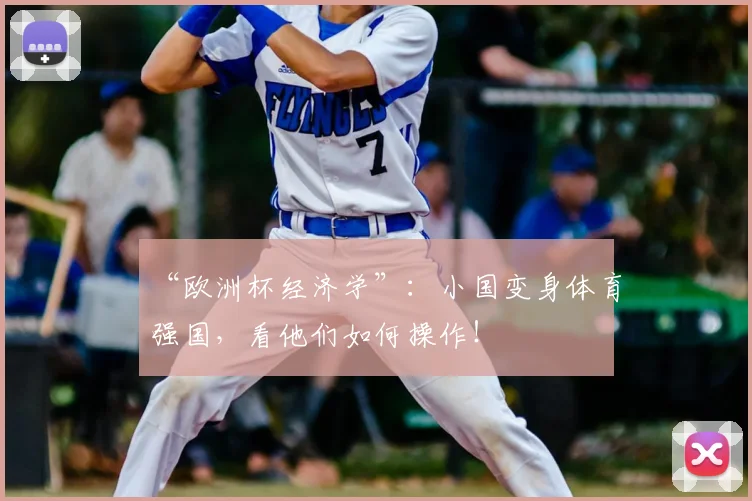 “欧洲杯经济学”：小国变身体育强国，看他们如何操作！