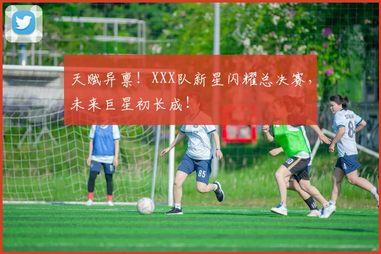 天赋异禀！XXX队新星闪耀总决赛，未来巨星初长成！