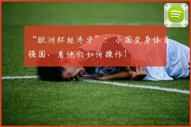 “欧洲杯经济学”：小国变身体育强国，看他们如何操作！