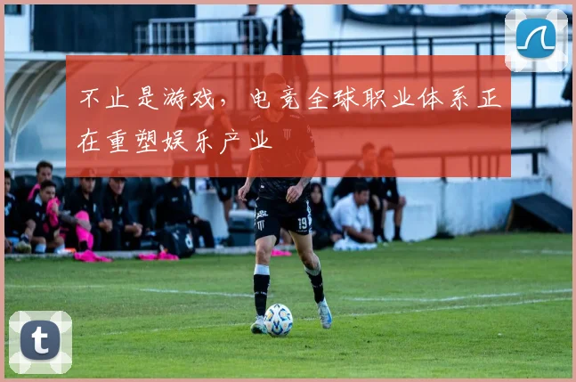 不止是游戏,电竞全球职业体系正在重塑娱乐产业